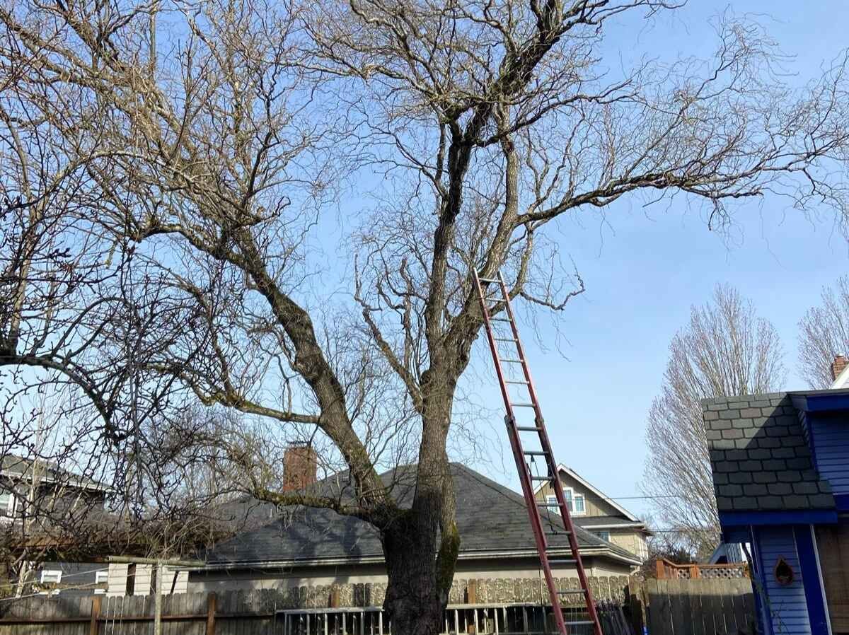SRG Remodeling LLC